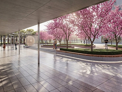 现代广场景观 广场景观 活动中心 儿童活动 老年健身 林下空间