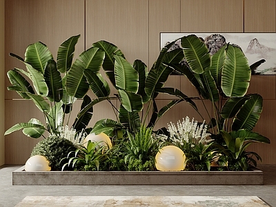 现代简约植物堆 室内植物 造景 盆栽