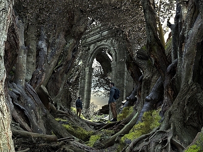魔幻现实主义景观景观廊道 自然景观 森林廊道 热带森林