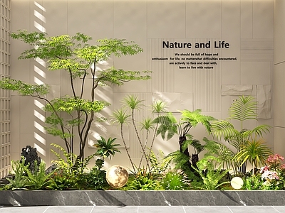 奶油风植物堆 室内景观 景观造景 植物堆 花坛花池