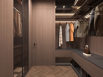 现代简约衣帽间 现代衣帽间 意式衣帽间