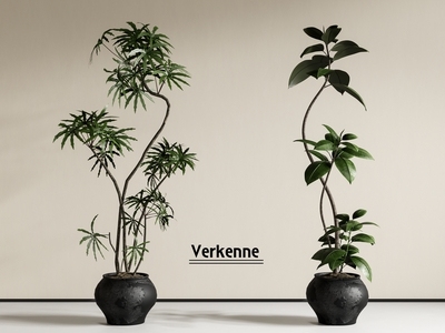 盆栽 绿植盆栽 植物盆栽 落地植物