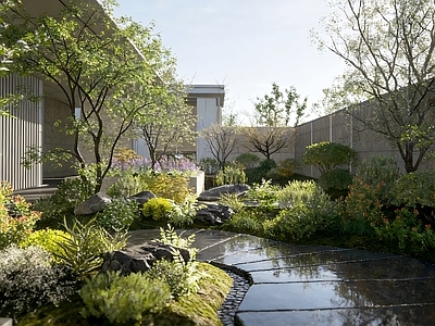 新中式中式别墅庭院 私家庭院 花园设计 庭院 植物搭配 小院