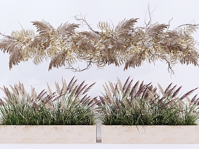 花草 芦苇 灌木花草 花盆花钵 吊篮花草 绿植组合