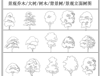 乔木种植 背景树 景观乔木 大树 树木 景观立面树 施工图