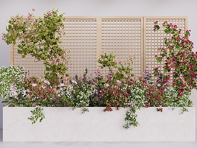 植物组合 树池植物组合 灌木花草盆栽 庭院景观 花镜花坛 藤蔓鲜花盆栽