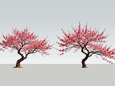 乔木 2D精品红梅树 红梅树 碧桃 景观花树 花乔
