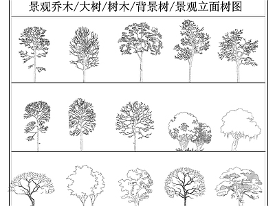 乔木种植 花池大树 景观乔木 背景树 树影 景观立面树 施工图