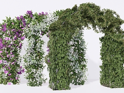 现代花境 拱形花架 花拱门 植物藤蔓 垂直绿化 婚礼婚庆美陈