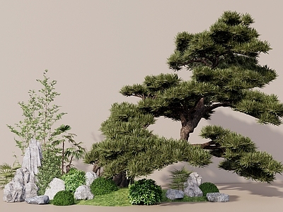 乔木 松树 罗汉松 景观树 树池乔木 中式植物组合