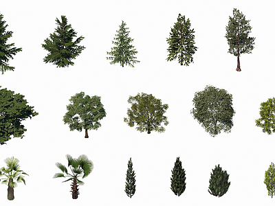 乔木 3D常用乔木绿植