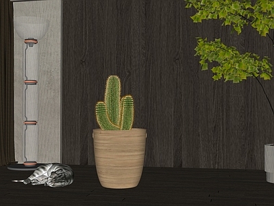 盆栽 现代仙人掌盆栽 睡觉猫咪 玻璃落地灯