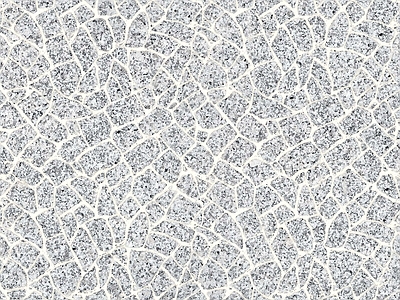 现代透水砖 透水砖 户外砖 植草砖 广场砖