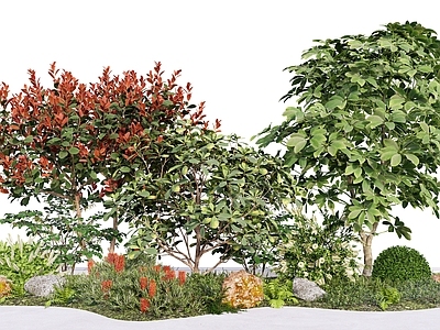 新中式景观植物组合 植物团组组合 乔木灌木 绿植花草组合 景观树 庭院花镜