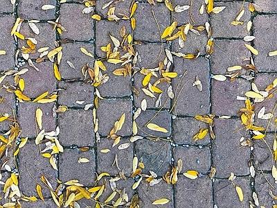 现代植草砖 植草砖 户外砖 透水砖 广场砖 人行道砖