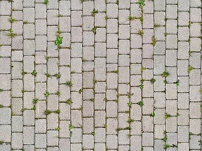现代植草砖 植草砖 户外砖 透水砖 广场砖 人行道砖