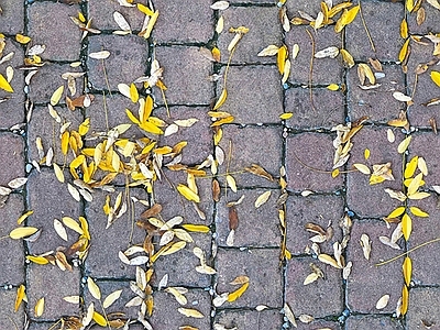 现代透水砖 透水砖 户外砖 植草砖 广场砖 人行道砖
