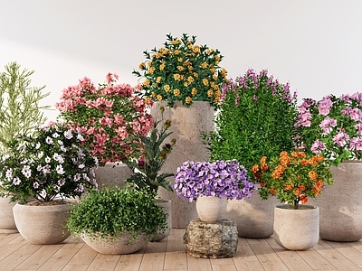 北欧盆栽 鲜花盆栽 绿植盆栽 灌木花草 室内造景 植物盆栽景观
