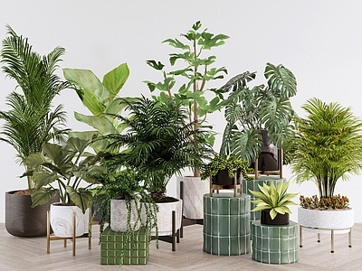 现代简约盆栽 绿植组合 灌木花草 室内植物景观 盆栽盆景 植物美陈