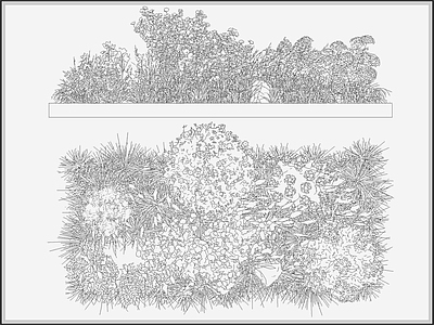 现代综合植物图库 灌木丛 花丛花池 植物组合组团 庭院景观植物 景观造景植物 施工图