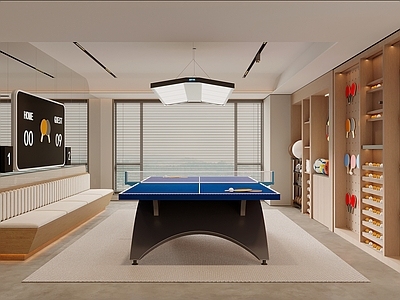 现代简约健身房 家居兵乓球室 乒乓球桌 乒乓球收纳柜