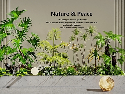 现代简约植物堆 植物堆 室内景观 庭院景观 植物组合