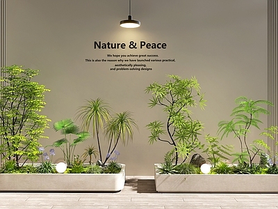 现代简约花箱 植物堆 花箱花池 室内景观 景观造景 庭院景观