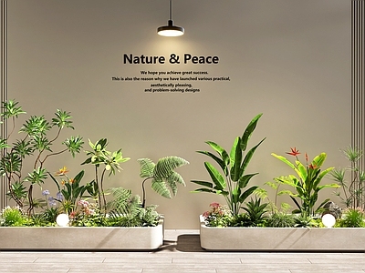 现代简约花箱 植物堆 花箱花池 室内景观  植物组合 庭院景观