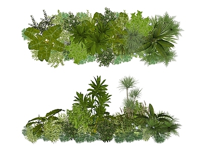 热带植物景观植物组合 盆栽花草丛  花草花卉组合  灌木  景观绿植