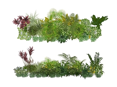 热带植物景观植物组合 盆栽花草丛  花草花卉组合  灌木  景观绿植  花卉植物