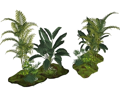 热带植物景观植物组合 盆栽花草丛  花草花卉组合  灌木  景观绿植  花卉植物