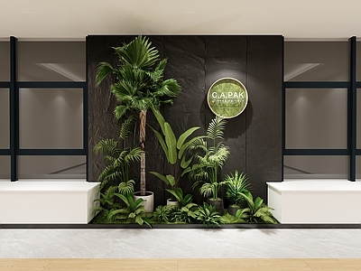 现代简约植物组合 室内空间绿植组合 艺术绿植组合 盆栽 物组合 景观绿植绿化