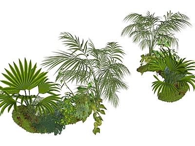 热带植物景观植物组合 盆栽花草丛  花草花卉组合  灌木  景观绿植  庭院小品