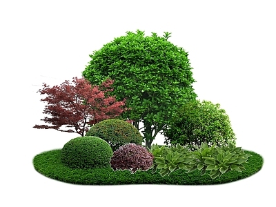 新中式景观植物组合