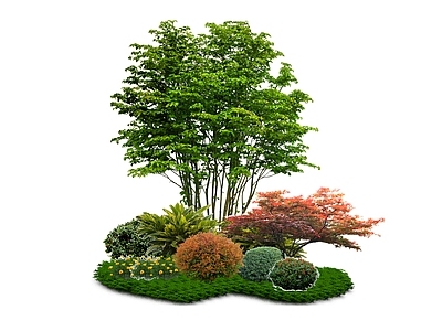 新中式景观植物组合