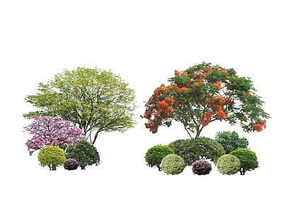 现代园林植物组合 盆栽花草丛  花草花卉组合  灌木  景观绿植  花卉植物