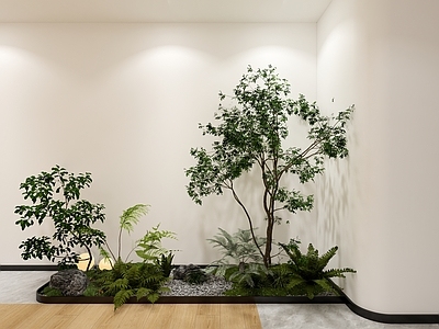 现代简约植物组合 现代室内景观 景观造景 庭院景观 庭院小品 景观绿植组合