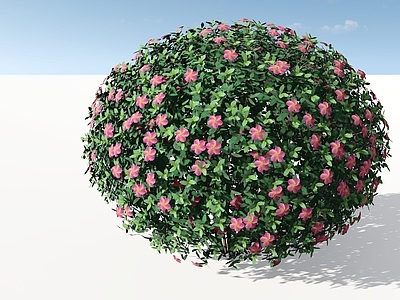 现代主义景观灌木