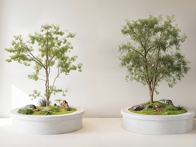 日式禅意盆栽 盆栽 植物 绿化 绿植