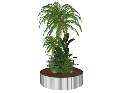 现代热带景观植物组合 树 树池 棕榈树