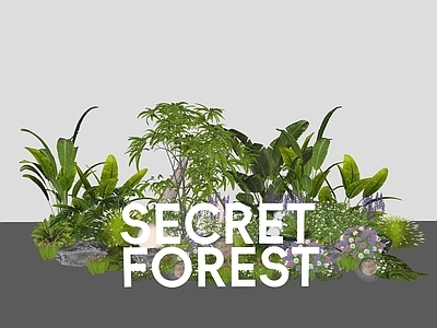 热带植物景观植物组合 绿植 美陈