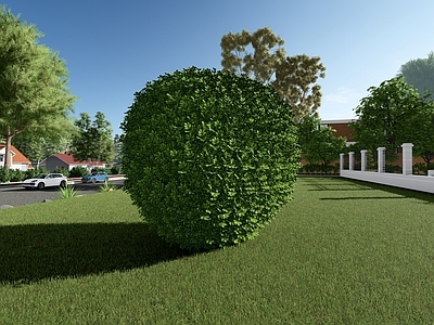 现代主义灌木 米兰球