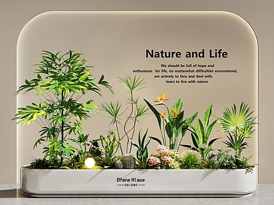 奶油风植物组合 植物堆 花坛花池 室内景观 庭院景观