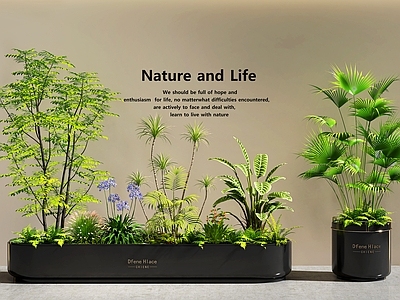 现代简约植物组合 花箱花池 植物堆 室内景观 景观造景 庭院景观