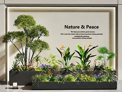 现代简约花境 花䓍给合 室内景观 景观造景 花坛花池 庭院景观