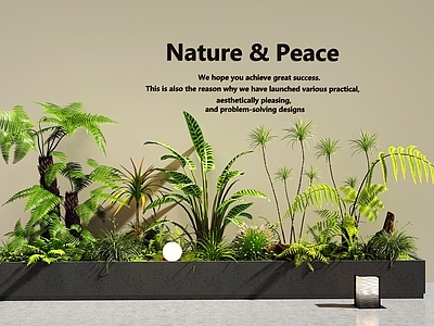 现代极简植物组合 花坛花池 植物堆 庭院景观 景观小品 室内景观