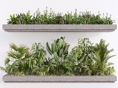 现代主义植物组合 植物景观 绿植组合 植物堆植物团组 庭院景观 热带植物