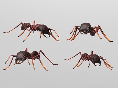 低多边形建模（Low - Poly）爬行类动物