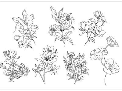 现代极简综合植物图库 现代简笔画 花卉植物挂画 花朵 施工图