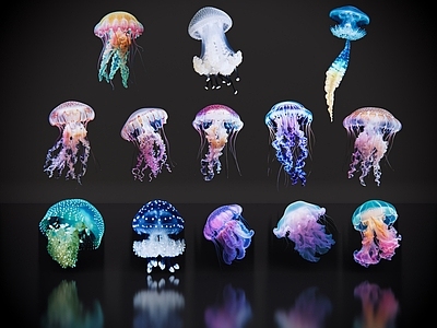 梦幻炫彩风水生动物 2D水母